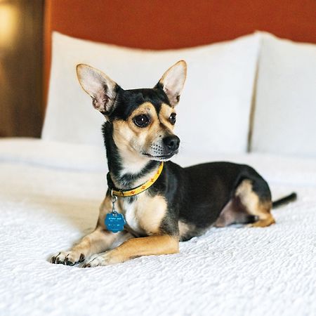 Hampton Inn Lexington South Екстериор снимка